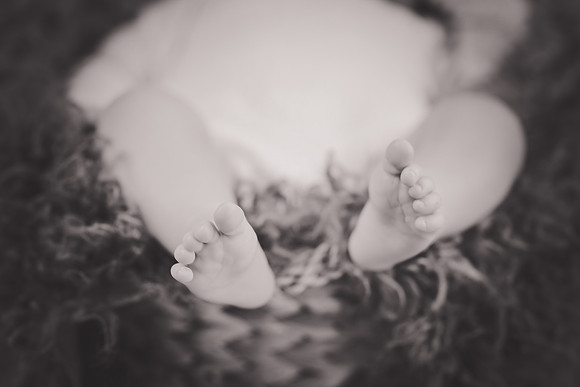 Lincoln [newborn] 054