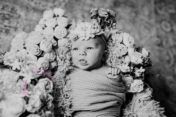 Amelia [newborn] images 043
