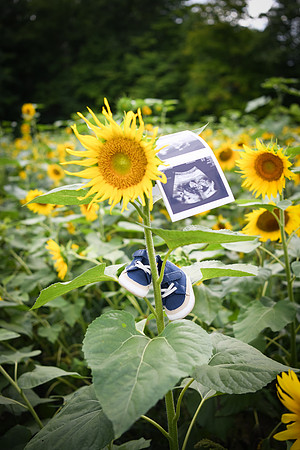 Baby H 187