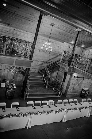 Piper & Eddie WD [reception] 077