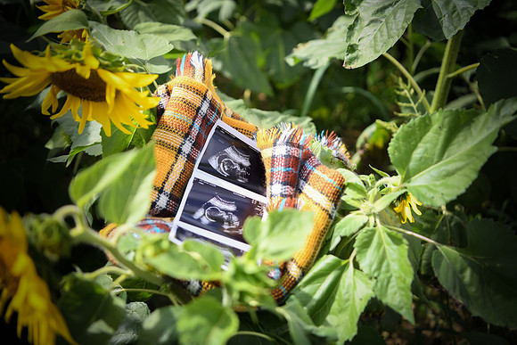 Baby H 163