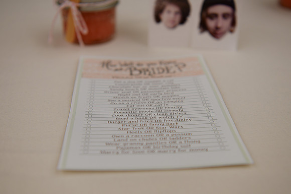 Bridal Shower 008