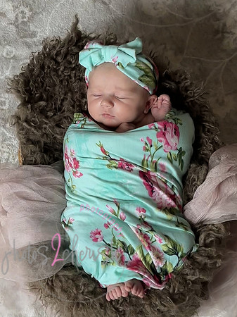 Amelia [newborn] images 110