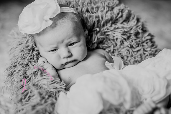 Amelia [newborn] images 050