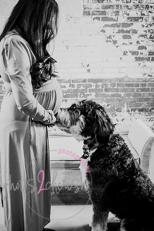 Maternity Session [peek] 43