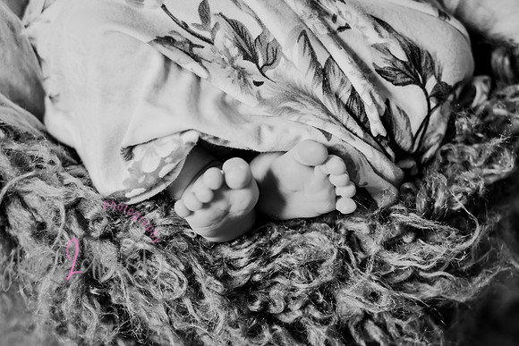 Amelia [newborn] images 101