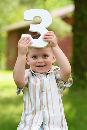 Coleson Turns Three 013