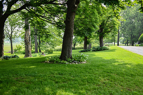 Carter & Marlah Wedding Photos [grounds] 048