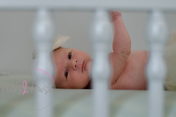 Amelia [newborn] images 145