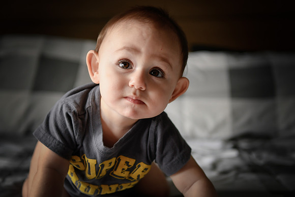 hudson [8 months] 226