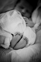 nolan [newborn] 005