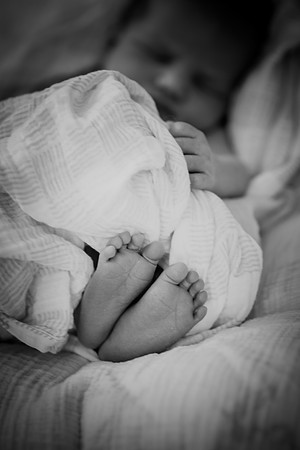 nolan [newborn] 005