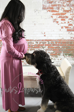 Maternity Session [peek] 44