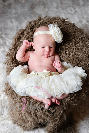 Amelia [newborn] images 056