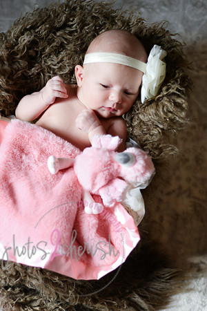 Amelia [newborn] images 098