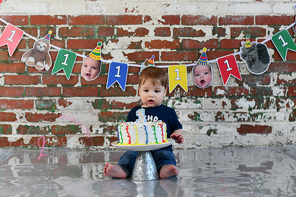 Logan 1st Birthday 087