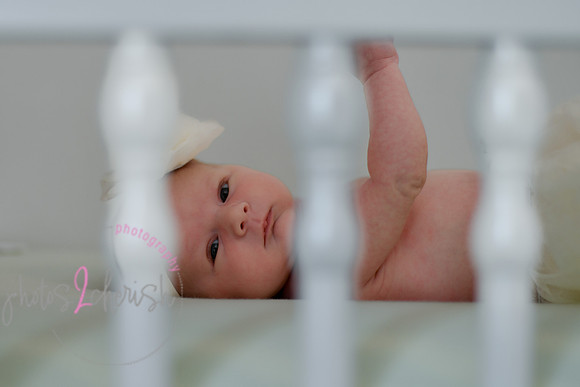 Amelia [newborn] images 146