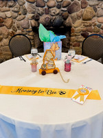 Baby Shower -19