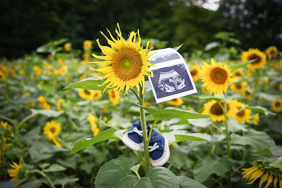 Baby H 182