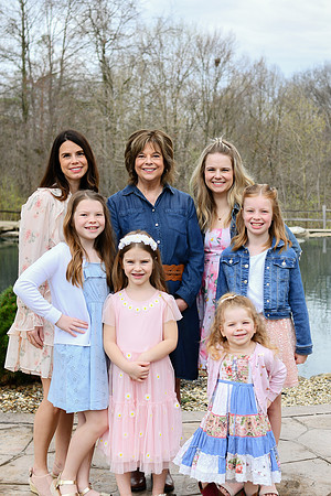 Brown Family proofs 253