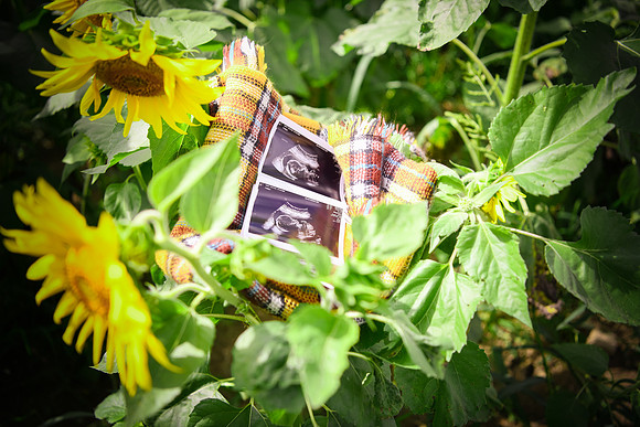 Baby H 164