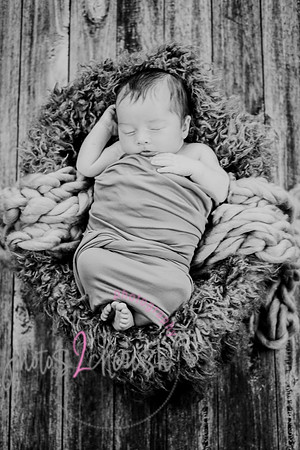 Anthony [newborn] 092