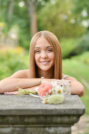 Briggs peek 055a