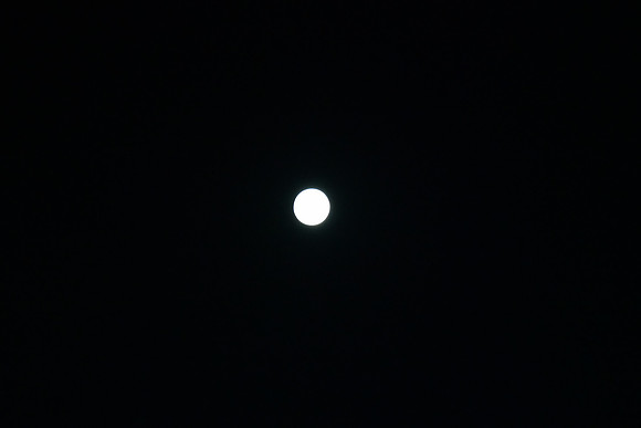 DSC_6406