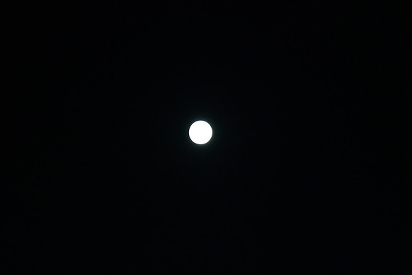DSC_6407