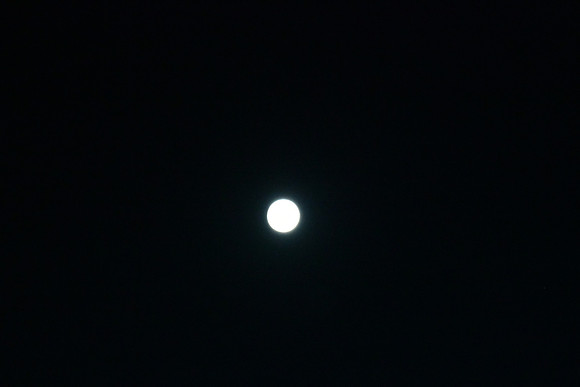 DSC_6408