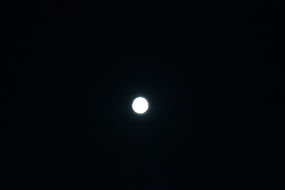 DSC_6409