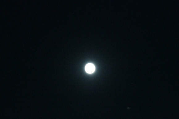 DSC_6410