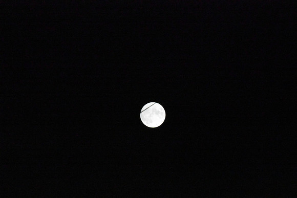 DSC_6415