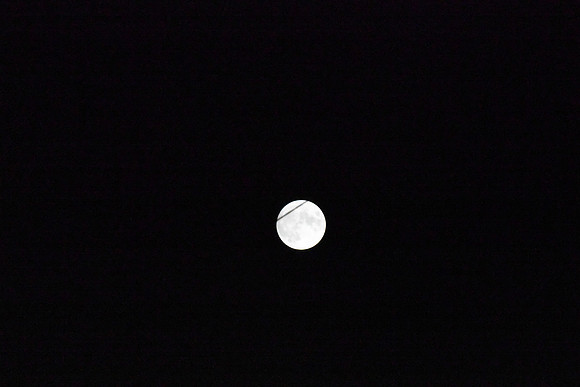 DSC_6416