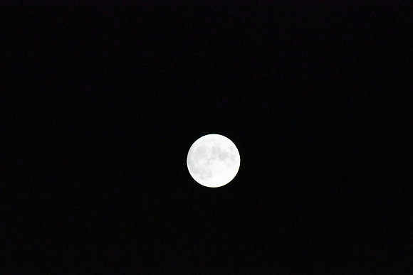 DSC_6417
