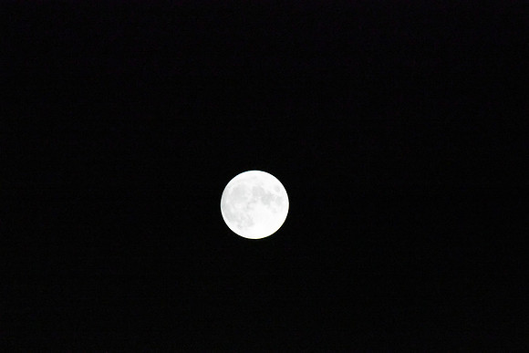 DSC_6419