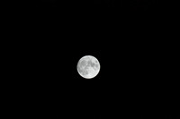 DSC_6420