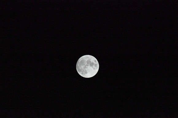 DSC_6420