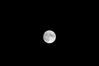 DSC_6421