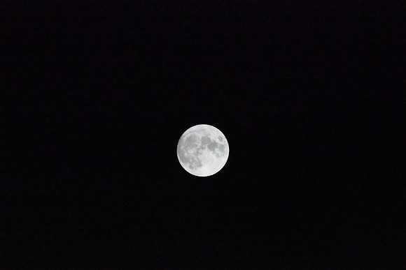 DSC_6421
