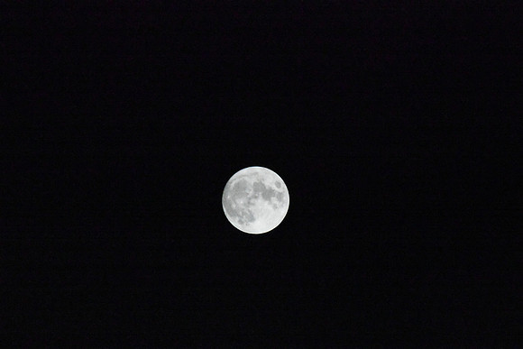 DSC_6422