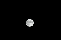 DSC_6423
