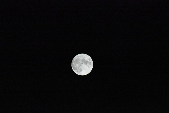 DSC_6423