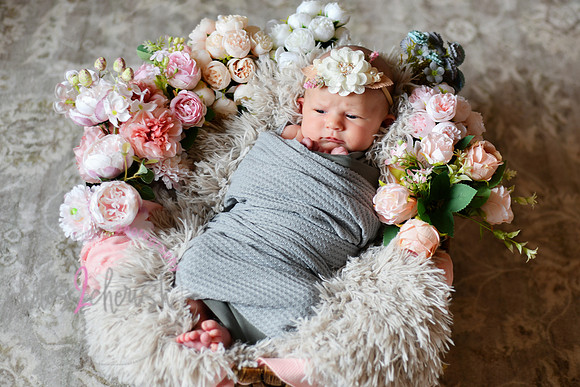 Amelia [newborn] images 010