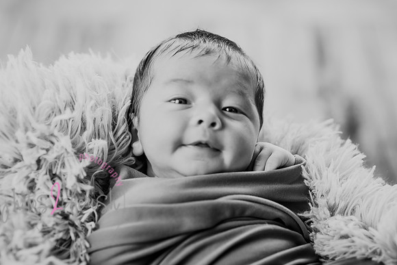 Anthony [newborn] 032