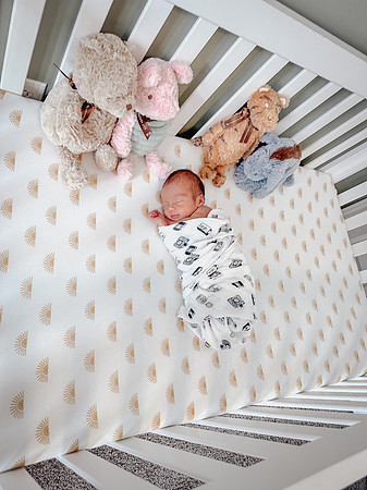Graham (1)