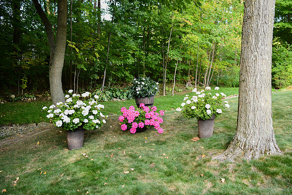 Christy and Rick Wedding Day 122
