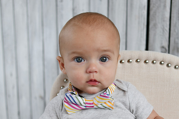 Graham 6 months 102