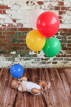 Graham 6 months 205