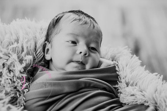 Anthony [newborn] 033